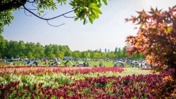 超1690万人次游客“五一”打卡上海，全要素旅游交易总金额215.1亿元